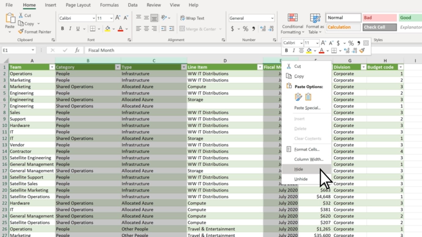 Hiding rows and columns in Excel